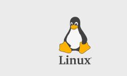 Featured image of post Linux