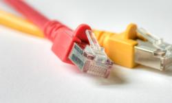 Featured image of post Network